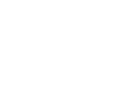 Icon Export (Weltkugel)